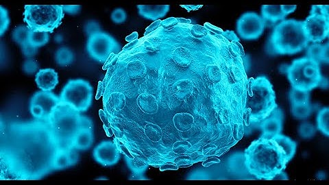 Unveiling Respiratory Pathogens: Insights from the Multiplex PCR FilmArray™ Respiratory Panel