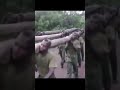 Ghana army forces training that will blow your mind gaf