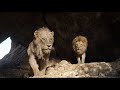 The Lion King (2019) Scar and Mufasa Scene HD