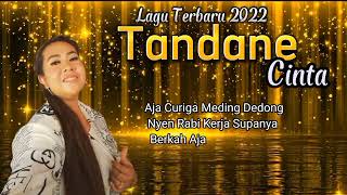 TANDANE/CINTA/ Voc: Ety Danuwat/ Cipt: Didi Mc/ Arr: Samsul/