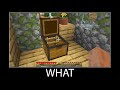 Minecraft wait what meme part 17 Hidden chest base