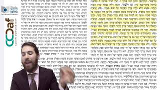 Dirshu Mishnah Berurah Sim Sim. 25 Sif 12-13 (5.17) Clear & Concise [Tefilin]