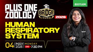 Plus One Zoology Bridge Course | Human Respiratory System | Xylem Plus One