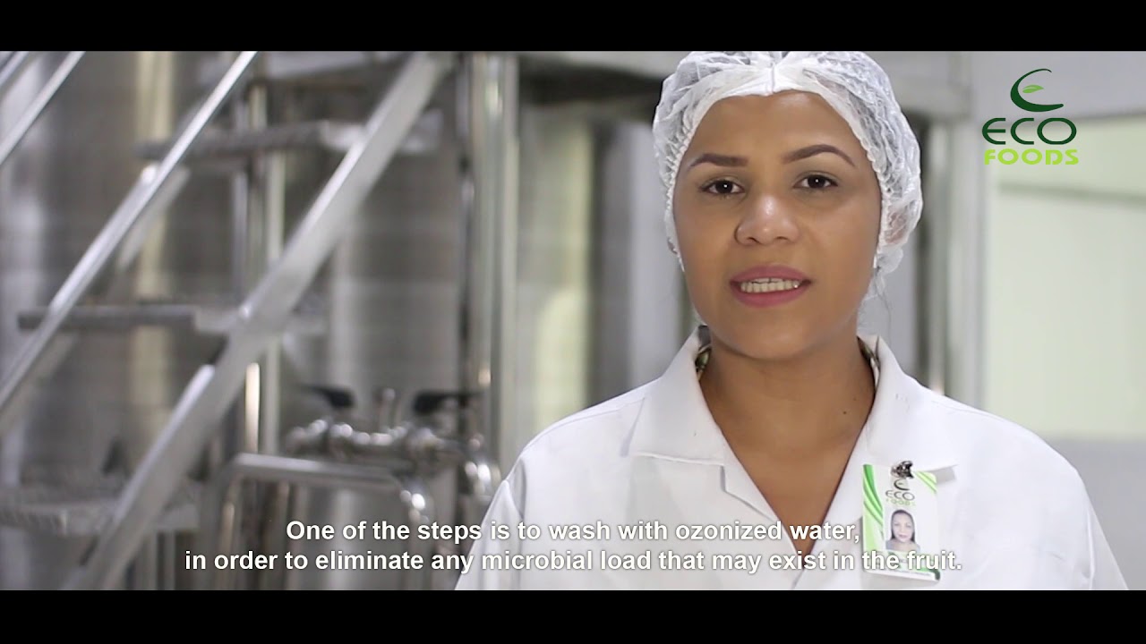 Eco Foods | Institucional