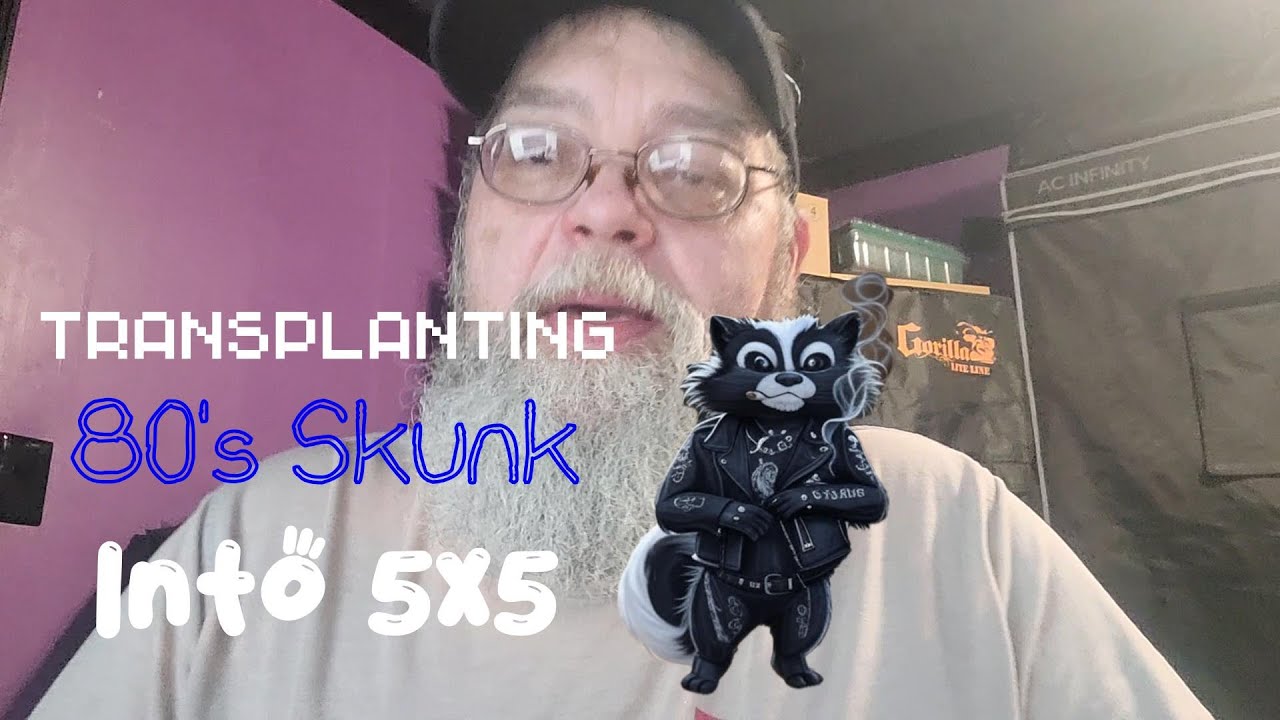 Transplanting skunk from the 1980's