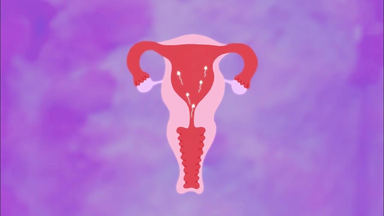 Have you ever wondered how ellaOne®, the most effective* morning after