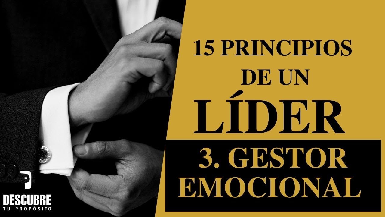 Liderazgo - 3 Gestor Emocional - 15 Principios de un líder