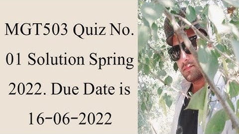 MGT503 Quiz No.01 Solution Spring 2022| MGT503 Quiz 1 2022| Mgt503 quiz 1 solution 2022| Mgt503 quiz