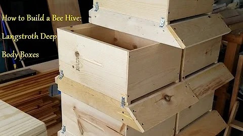 How To Build A Beehive: Langstroth Deep Body