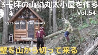 山を開拓して丸太小屋を作る Vol.54 山から壁を切って来る　はらちんさんが来た