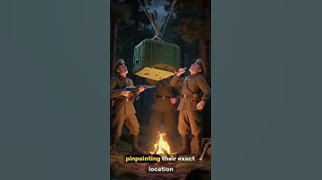 Why Did Soviet Soldiers Shoot Their OWN Planes?