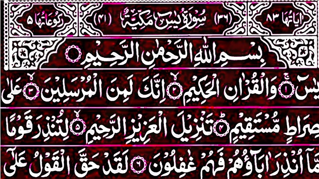 Surah Yasin Surah Rahman | Beautiful Recitation Surah Yaseen Surah Rahman Full | Quran Tilawat | 183