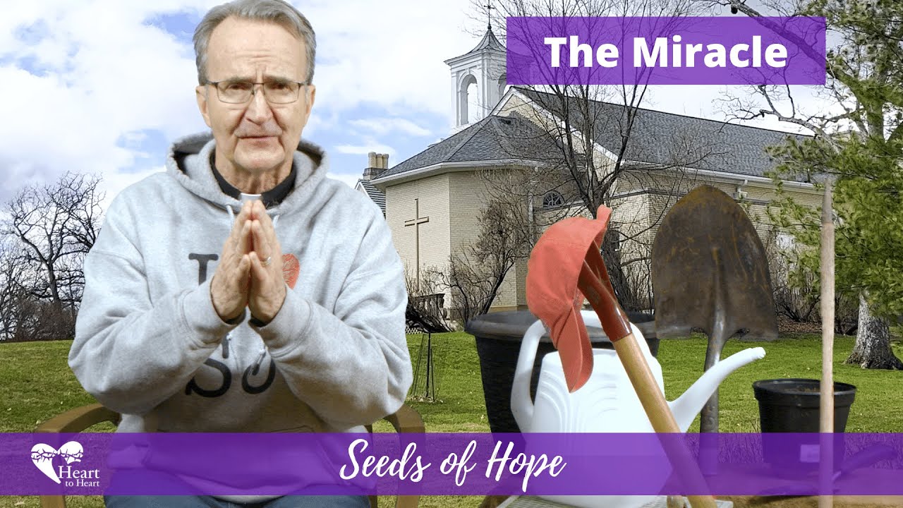 the-miracle-of-st-julie-billiart-more-seeds-of-hope-for-lent-john
