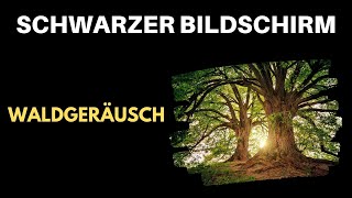 Waldgeräusche | Schwarzer Bildschirm ⚫🌳 [ASMR 10 Stunden] Weißes Rauschen by Mardeo Music 1,179 views 3 years ago 10 hours, 24 minutes