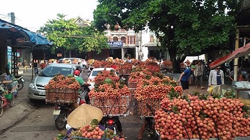Cập nhật giá vải Lục Ngạn ngày 24/6/2020.