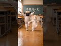 本能寺の変ダンスするパグと猫 #本能寺の変ダンス #パグ #猫ダンス #catdance #dogdance