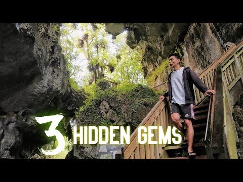 3 FREE MUST DO Activities in Waitomo, NEW ZEALAND | NZ Travel Vlog 1 of 3