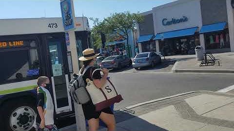 Dart 2015 Gillig #473 on route 201. The red line.