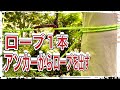 木にロープを結ぶときにロープが落ちない簡単な結び方　[二重つなぎ＋エイトノット]
