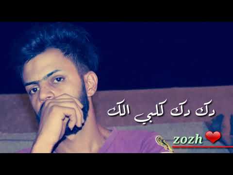 حمودي الباشا دك الكلب دك دك غيرك فلا يعشك