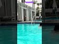 #viceroys #santamonica #california #staycations