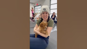 WHAT SHOULD I NAME HER? #msbeanie