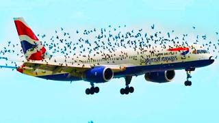 Download Lagu 20 Fluggeheimnisse, die Passagieren nie erzählt werden MP3 Download Lagu 20 Fluggeheimnisse, die Passagieren nie erzählt werden MP3