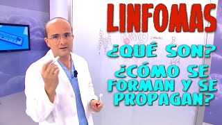 LINFOMAS Todo lo que necesita saber ¿Qué son? ¿Como se propagan? - CÁNCER #15