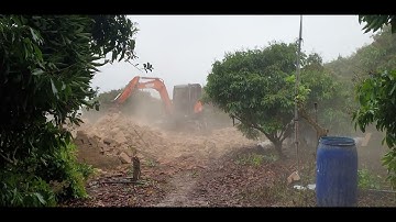 Phá Lều Xây Lán Vườn Vải Thiều Lục Ngạn l Núi Đồi Lục Ngạn