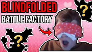 WORLD RECORD BLINDFOLDED Battle Factory Attempts! | Pokemon Emerald | GET IN