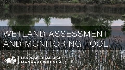 Wetland Assessment and Monitoring Tool (WAAM)