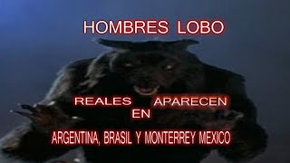 Real Werewolves Appear in Argentina, Brazil, and Monterrey, NL Real Werewolves Appear in Argentina, Brazil, and Monterrey, NL