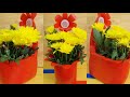 ý tưởng tái chế chai nước xả vải thành chậu trồng hoa|| HAVI TV