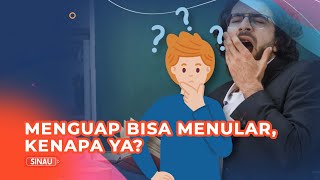 Kenapa Menguap Menular? Ternyata Gara-gara Ini