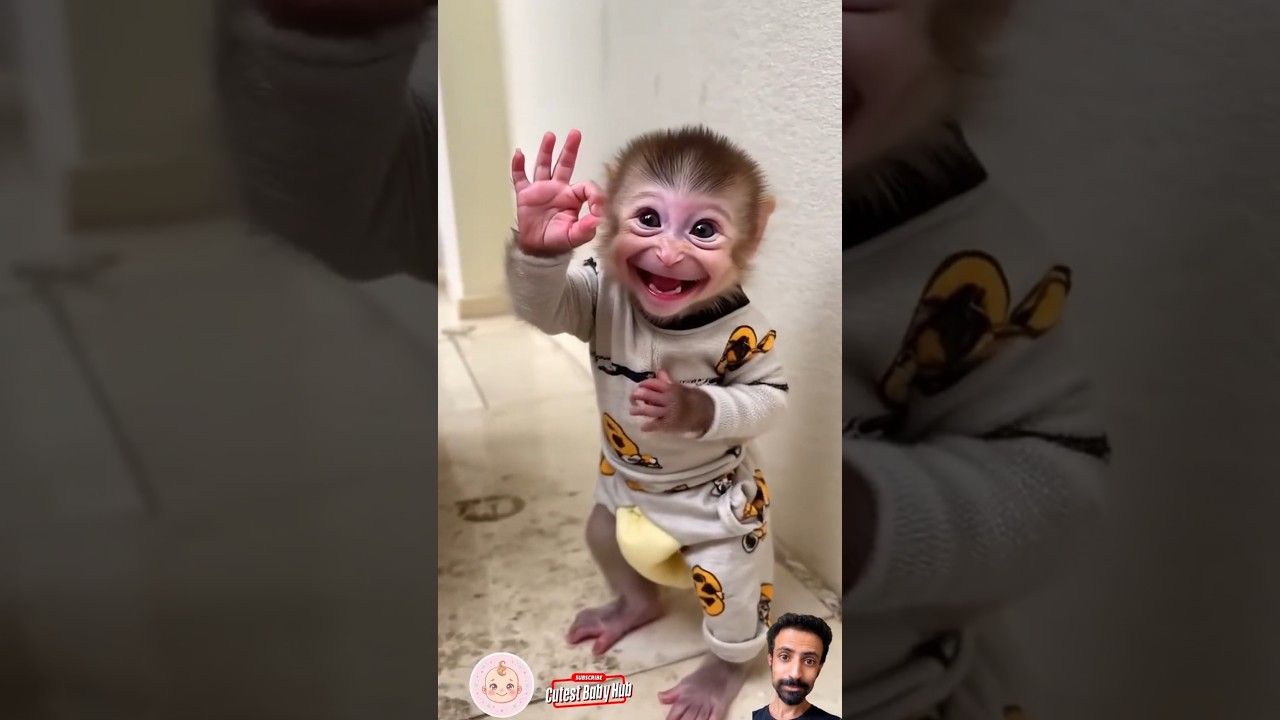 Cutest Reaction! Baby Monkey smiles, she looks really happy 😊🐵😍#cutebaby #funnyshorts