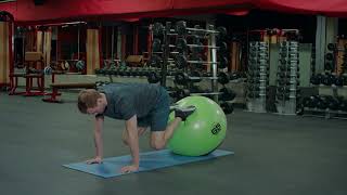 Exercise Library by NFE , Stability ball jack knife V2