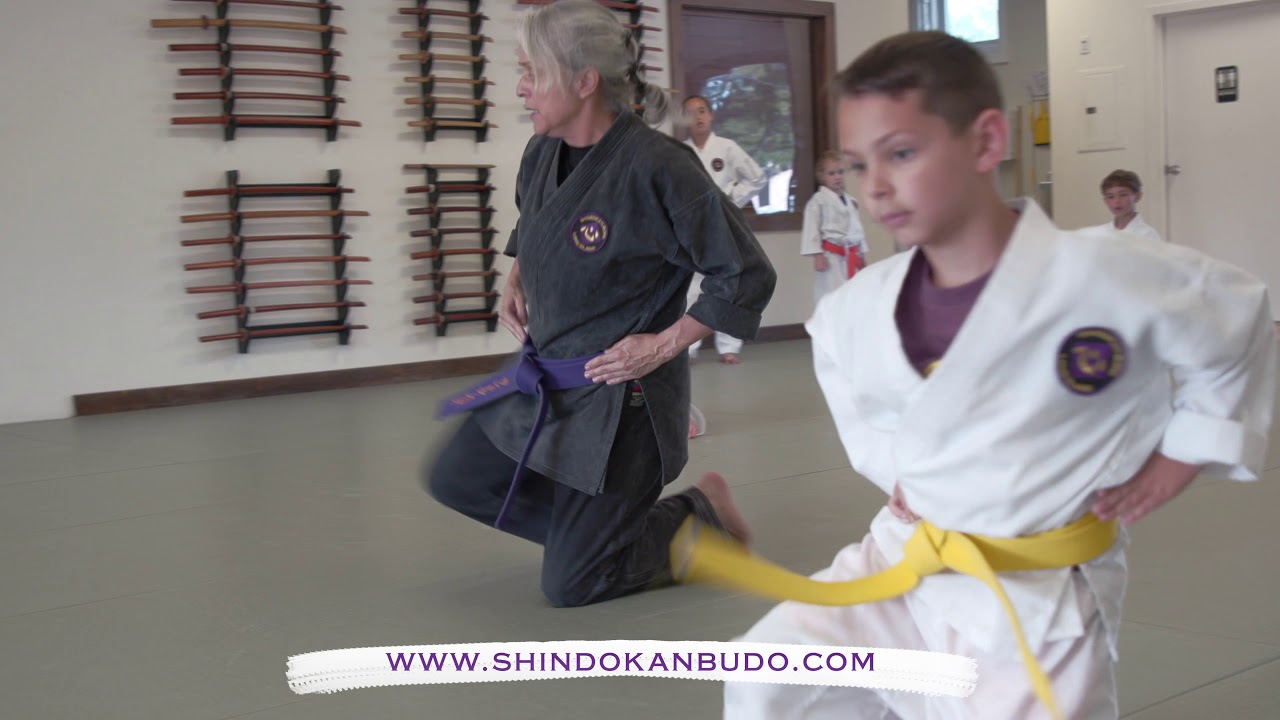iaido long island iaido long island