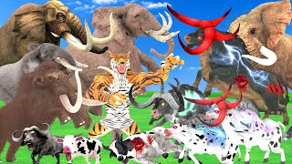 10 African Elephant vs 10 Big Bulls vs Giant Tiger Wolf Attack Cow Elephant Saved by Asian Elephant