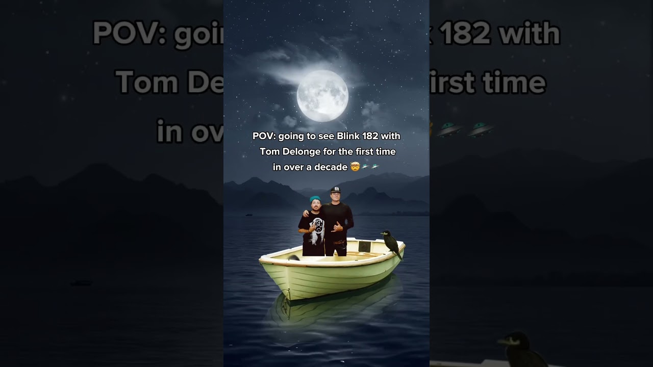 Are you going to see Blink 182?  