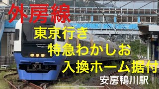 《外房線》JR東日本　255系　わかしお