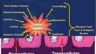 Love Your Gut (Part 1) with Dr. Rashel Tahzib