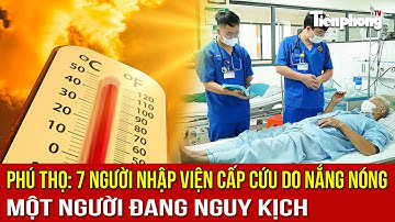 NHỊP SỐNG 24: 7 người nhập viện cấp cứu do nắng nóng ở Phú Thọ, 1 người nguy kịch