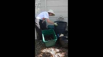 Trash Can Composter - Garbage Can Composter. Do It Yourself, Make It Cheap, Easy and Quick DSCN4433