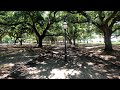 4K Charleston, South Carolina - Coastal walk to Joe Riley Waterfront Park