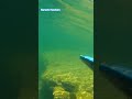 pesca sub #amém #mensagemdefé #jesusteama #oraçãodanoite #amen #jesuslovesyou #fe #pesca #4k