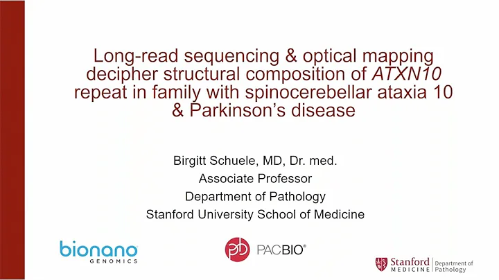 Long-read Sequencing and Optical Mapping of ATXN10 Repeat Expansion