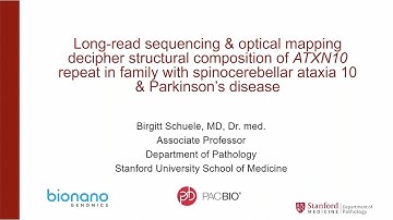 Long-read Sequencing and Optical Mapping of ATXN10 Repeat Expansion