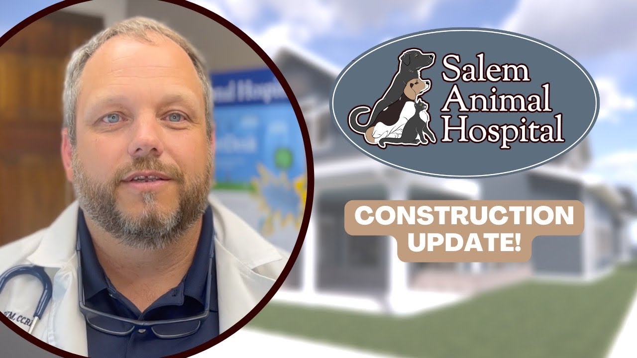 Salem Animal Hospital We're growing to serve you better! YouTube