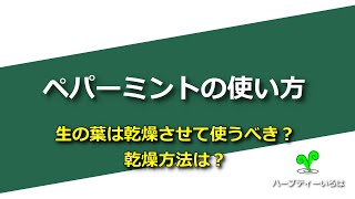 ペパーミントの使い方！生の葉は乾燥させて使うべき？乾燥方法は？