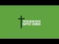 Vision 2026 Spontaneous Fruitfulness 